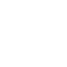 Audditur Logo